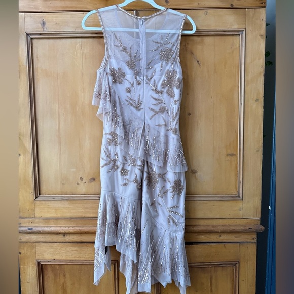 Parker Black label Florence beaded dress in Rosaline champagne nude color - Picture 7 of 10